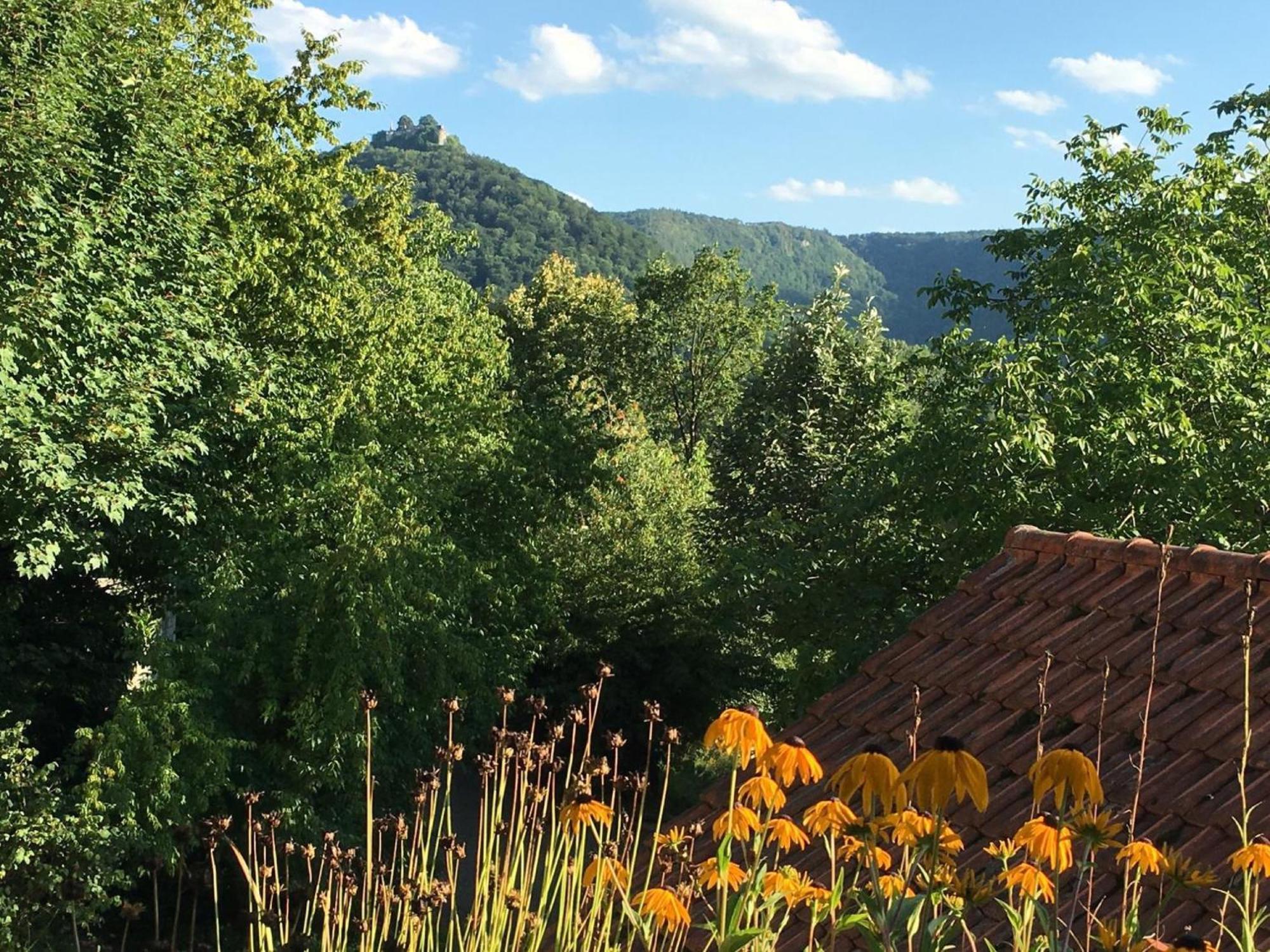 Ferienwohnung Haus Am Sonnenhügel Bad Urach Exterior foto
