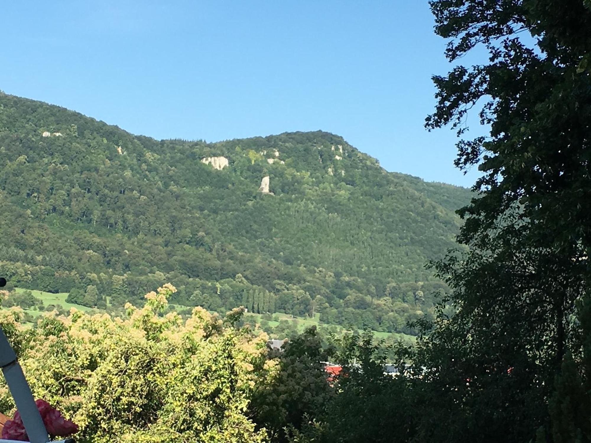 Ferienwohnung Haus Am Sonnenhügel Bad Urach Exterior foto